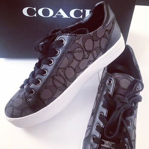 COACH Paddy Sneakers 👟